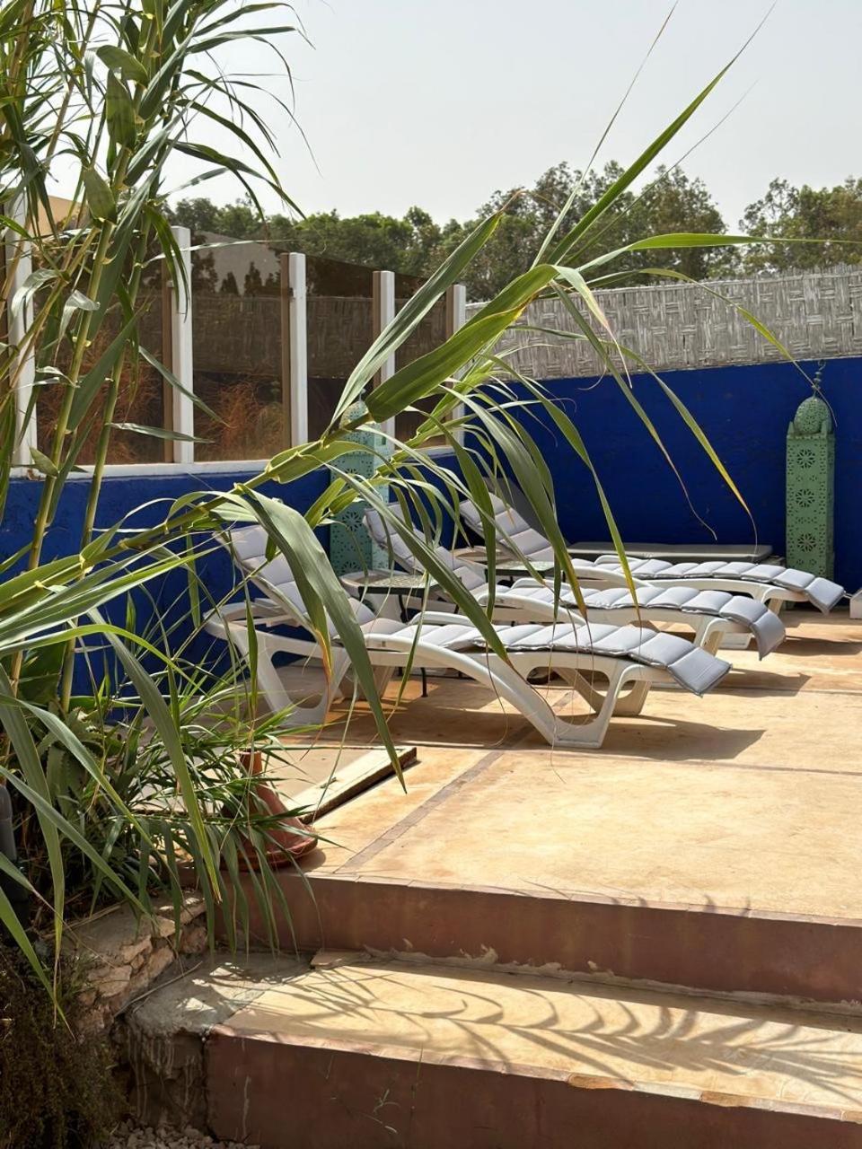 Aloe Vera Privee Esauira